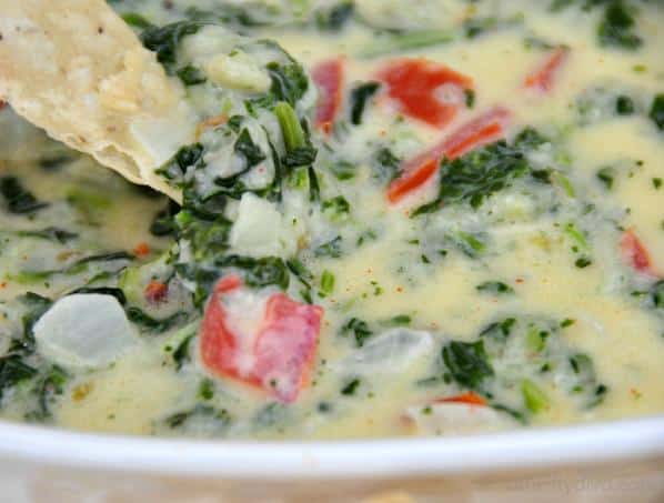  A mouth-watering combination of cheese, veggies, and homemade tortilla chips.