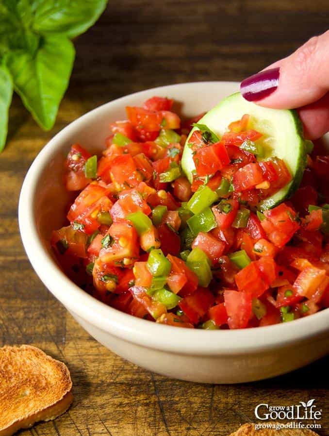 Healthy and Delicious: Salsa Crudo Recipe
