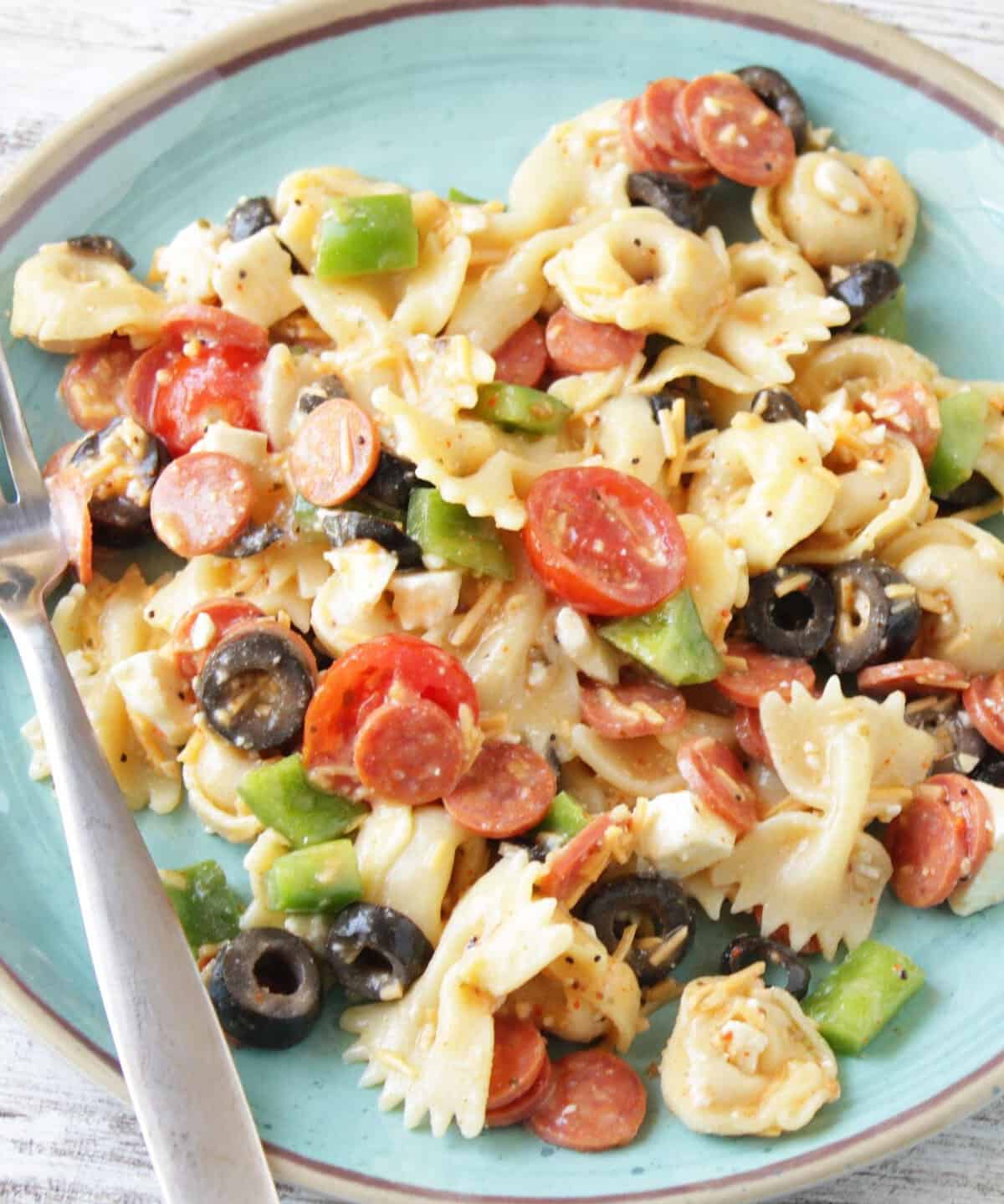  Say hello to your new go-to party dish: Tortellini and Bow Tie Pasta Salad.